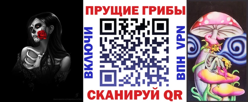 Галлюциногенные грибы Psilocybe  Нязепетровск 